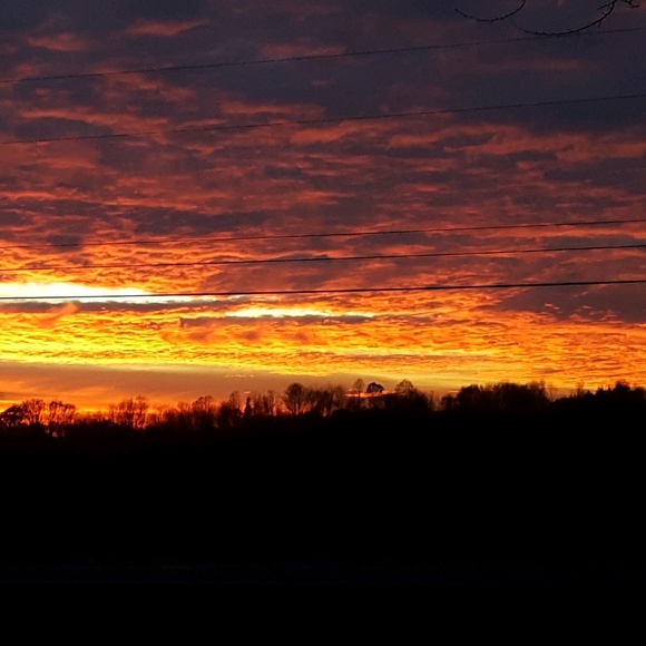 Meet your Posher, Michelle - Picture 1 of 1